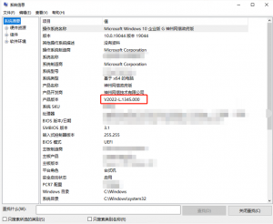 如何查看 Windows 10 神州网信政府版的版本信息